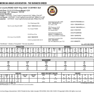 CCL-COUNTY ROAD-4209