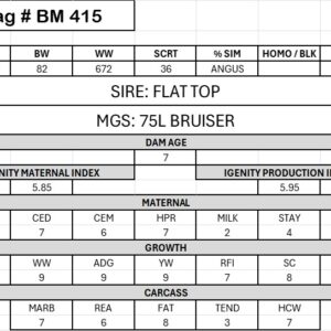 BM 415