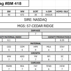 BM 418