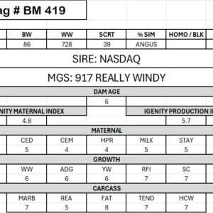 BM 419