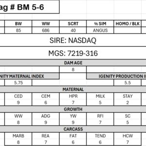 BM 5-6