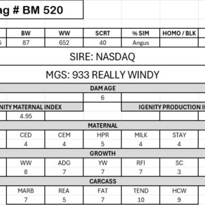 BM 520