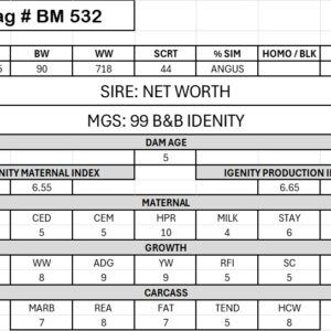 BM 532