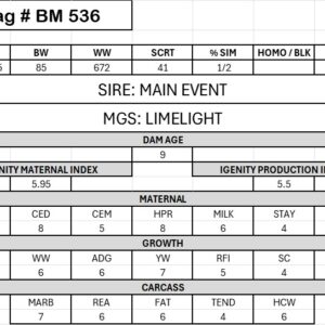 BM 536