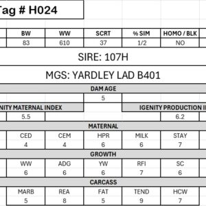 ALKALI - #H024