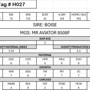 ALKALI - #H027