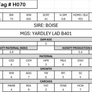 ALKALI - #H070